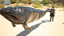 Recyclage de sac poubelle