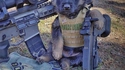 Brigade canine améliorée