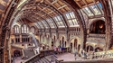Intérieur du Musée d'Histoire Naturelle de Londres