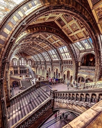 Intérieur du Musée d'Histoire Naturelle de Londres