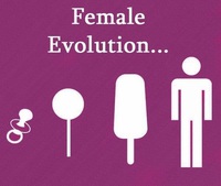 Évolution de la femme