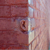 Les murs ont UNE oreille