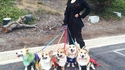 Promenade d'Avengers