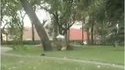 Double back flip