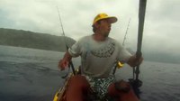 Le pêcheur et le requin