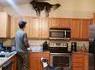 Kan ton chien se prend pour un chat