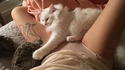 Une chatte