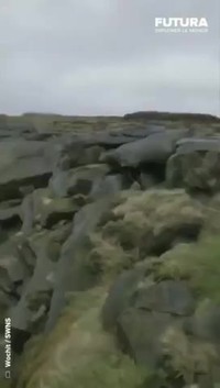 Le plateau de kinder scooter en Angleterre 