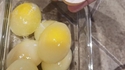 Œuf glacé