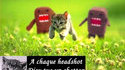 Chaton