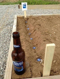 Jardinage 