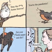 Qu'est-ce qu'ils pourraient dire ?