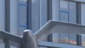 Oiseau-robot télécommandé