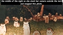 Être réveillé au beau milieu de la nuit sous la tente par du bruit...