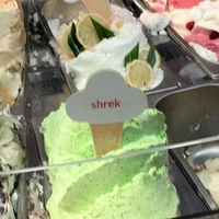 On sait où était Shrek maintenant