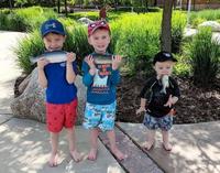 Nif-Nif, Naf-Naf & Bouf-Bouf