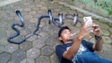 Photo royale