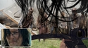 Comment Daryl voit les choses