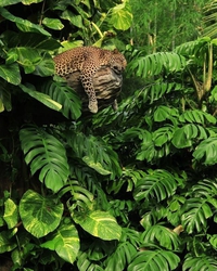 Une bonne journée de boulot terminée