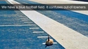 Pelouse de stade bleue