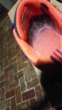 Pendant ce temps, en Australie...