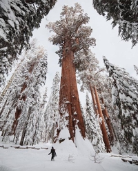 Se sentir tout petit