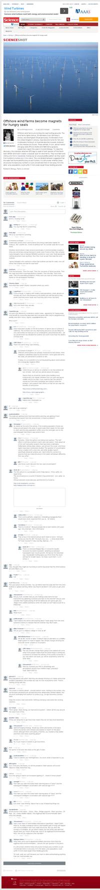 Le nouveau terrain de chasse des phoques