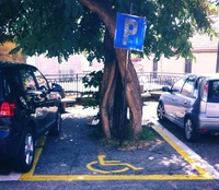 Place handicapée