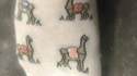 Camel toes