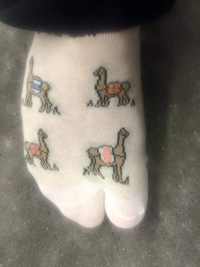 Camel toes