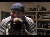 Owned by dog