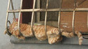 Petite sieste 3