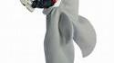 Costume de requin