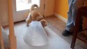 Chat cloche