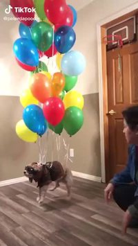 La haut 