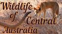 Faune d'Australie
