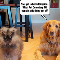 You kidding me, aren't you?!