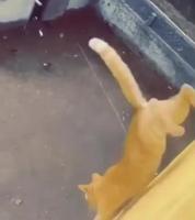 Les calculs sont pas bons 