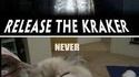 Release the kraker