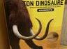 Kan t'as pas vu Jurassic park