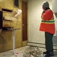 Putain de cage, un perroquet bien VNR