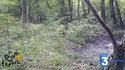 chasse de France