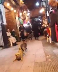 Pendant ce temps là, dans le souk