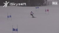 Cervidé et skieur