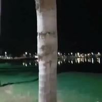 Pendant ce temps là