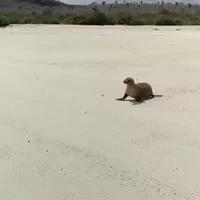 La motivation du lundi 