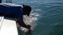 En avoir la claque de la pêche
