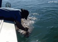 En avoir la claque de la pêche