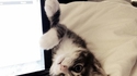 Quand tu vois ca.