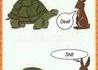Le lièvre et la tortue